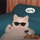 자민환경 | MA-!너희들이 진정한 나의 힐링이다🖤 | 벤자민인성영재 서울 경기 학습관 난타동아리 수업 후기