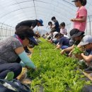 혁신농장 이미지