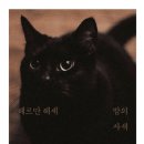 밤의사색 이미지