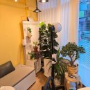 강동힐링스토리안마원 이미지