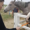 성심목장 이미지