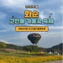 효산농장 | [전남/화순] 고인돌 가을꽃축제 상세후기(무료셔틀버스이용법/주차/동선추천 등)
