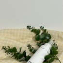 솜누스 | [파퓨무스] 드레스퍼품 섬유탈취제 필로우 미스트 솜누스 100ml (사용법, 꿀팁)