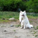 염포양정도서관 이미지