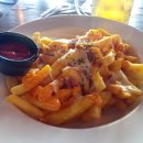 샘라이언해운대 이미지