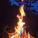 인제캠핑타운 이미지