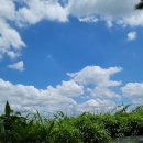 공유행정사사무소 이미지