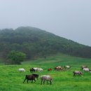 제주첫날 민박 이미지