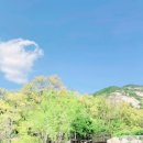 불암산나비정원 이미지