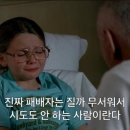 아보카도즈 이미지