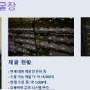 마인엔터프라이즈