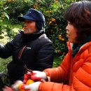 근화농장 이미지