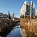 오룡골천 이미지