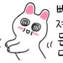 예쁨에반하다 이미지