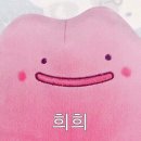 포렛필라테스 이미지