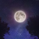 투더문 - 남구 봉덕로9길 73 | 투더문