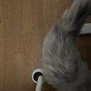 휠 | 의자휠가드 후기, 고양이 털 끼임 걱정 줄어든 이유