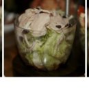 비어카페(펀비어킹) 이미지