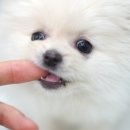 예뻐예뻐