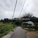 김포대주유소 이미지