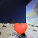 짚퍼스트 | 인스파이어 5살아이랑①ㅣ포레스트타워레이크뷰, 바운스더퍼스트