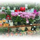 한대앞역 3번출구 육교 이미지