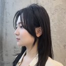 수헤어(내동점)