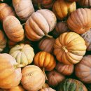 봉두농장 이미지