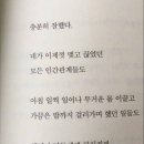 장산 Daum카페
