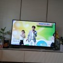 니가 왜 거기서나와... 이미지