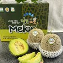 원두막메론