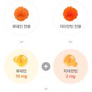 헬스비젼