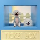 하랑이랑 애견카페 이미지