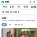 💜아라반 10월 4주(2)&amp; 산당산성 숲 체험💜 이미지