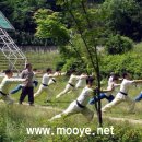 국선도 이미지