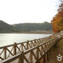 장성호관광지 이미지