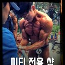 DM GYM 이미지