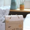 다은벌꿀