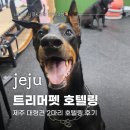 트리머펫 이미지