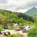 녹천농장 네이버블로그
