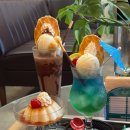 양말코히 이미지