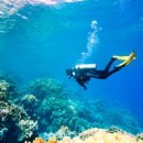 인천광역시 문학박태환수영장 다이빙풀 이미지