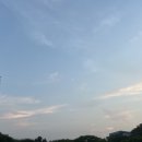 광명종합운동장 네이버블로그