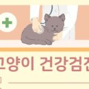 상암동물병원 이미지