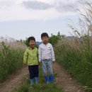 성헌농장 이미지