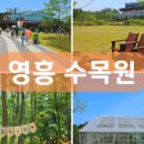 수원어린이교통공원(영통동)