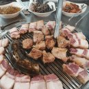 돈하루