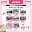 로망스모텔 | 진해군항제 2026 진해 벚꽃 축제 일정·라인업·셔틀버스·경화역 벚꽃·여좌천 야경·진해 맛집 추천