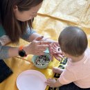 동글동글 | 집으로 찾아오는 홈문센 15개월 방문수업 똘망쁘띠 후기_동글동글 다양한 콩