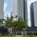 카페율 | [카페율/충북혁신도시]충북혁신도시 카페, 음성 카페, 내돈내산